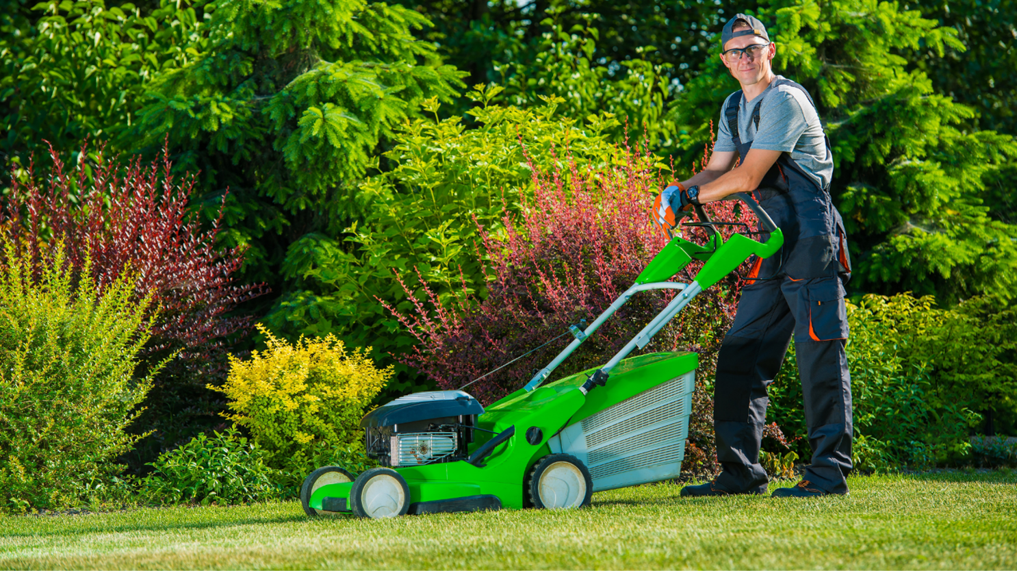Lawn and Landscape Company in Parkville